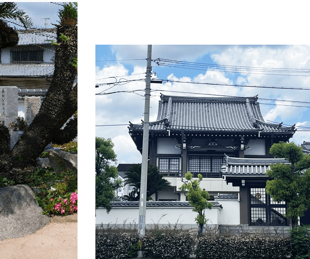 松林寺について